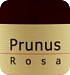 Cold Hand Winery Prunus Rosa
