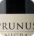 Prunus Nigra dansk kirsebærvin (50 ml)Cold Hand Winery Prunus