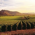 jura wine region